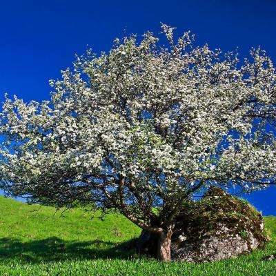 开元ky888棋牌2.3.7版