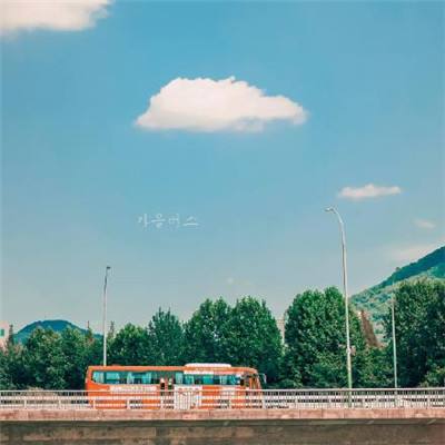 半岛bob综合登入下载手机版截图