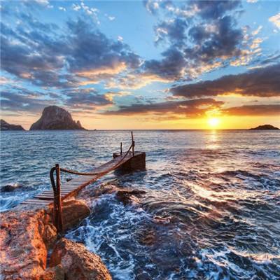 皇家88手机app下载