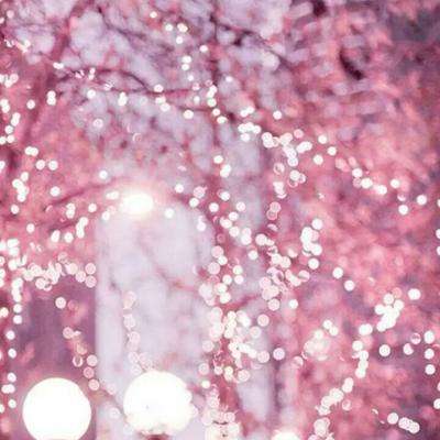 一码一肖100准资料应用截图